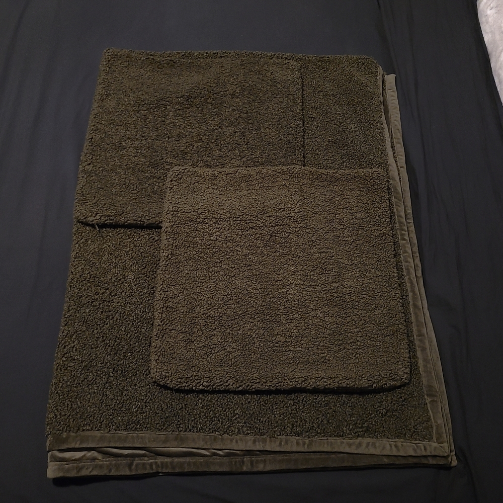 Pottery Barn Cozy Teddy Throw and 20” Pillow Set